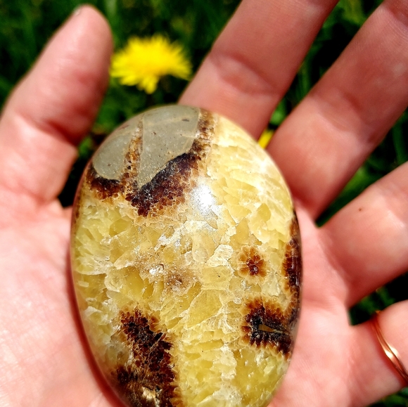 Septarian Nodules Plam Stones Dragon egg - Picture 5 of 11